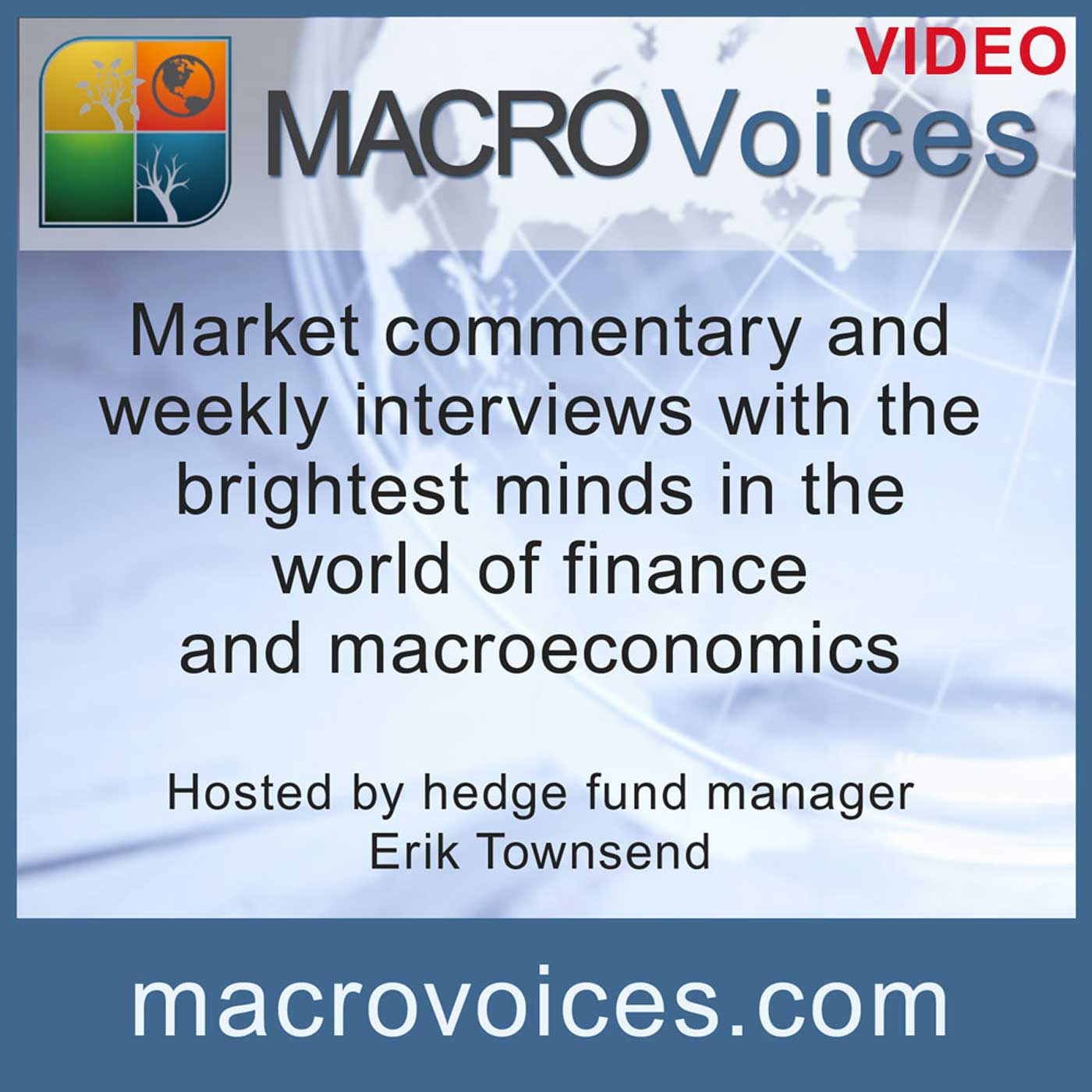 MacroVoices Video - Digital Currency Revolution: Outlook and Update